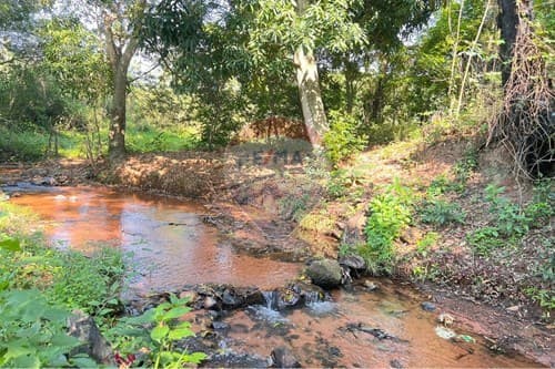 Tres Terrenos con Arroyo en Ypacaraí — foto 3