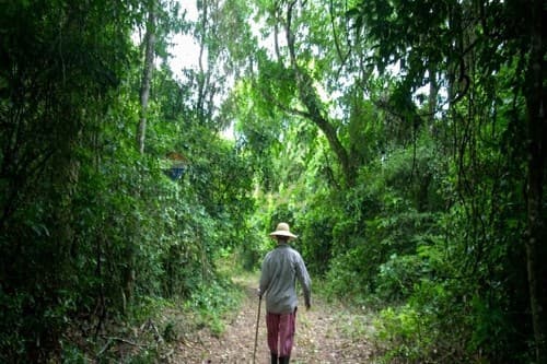 🌿 74 Hectares of Opportunity to Invest, Produce, and Grow, foto 3