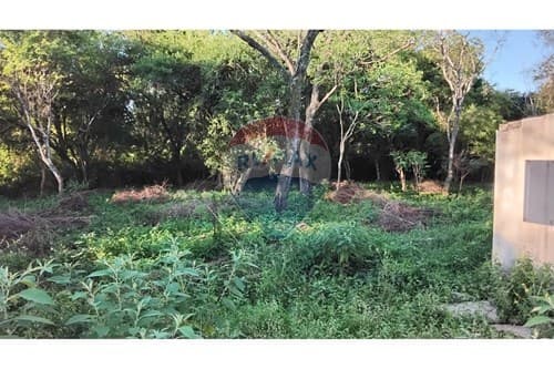 Terreno para Residencia Lujosa en Zárate Isla 🏞️ — foto 5