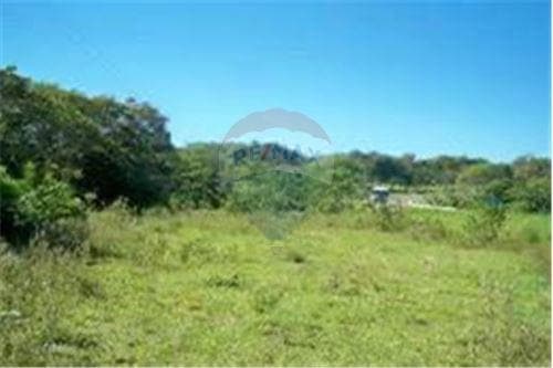 Terreno de 12.9 hectareas en caaguazu — foto 4