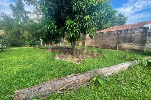 Terreno en villa bonita — foto 4