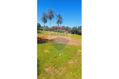 Terreno en venta san juan bautista misiones — foto 5