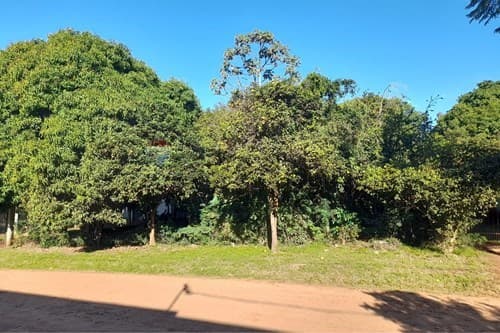 Terreno en cambyreta la amistad — foto 4