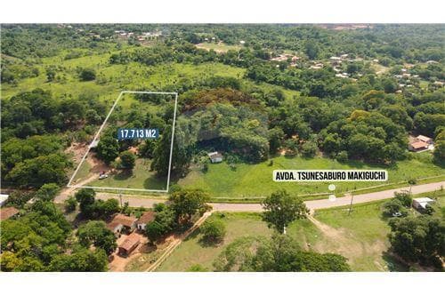 Fantastico terreno sobre ruta Luque-limpio — foto 5