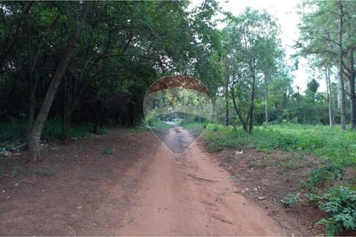 ¡Terreno en Areguá: Tu Inversión Ideal! — foto 3