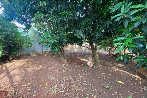 Terreno en venta – Km 7 Don Bosco — foto 5