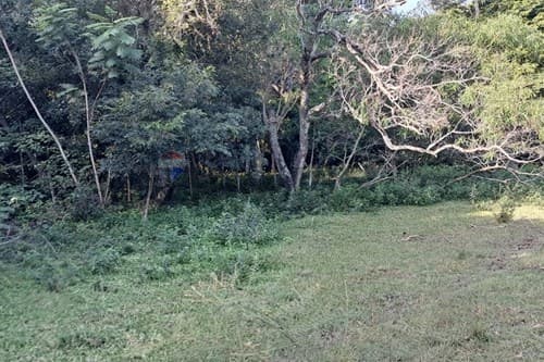 VENDO 2 Has + 1.588 m² en Patiño, Itauguá