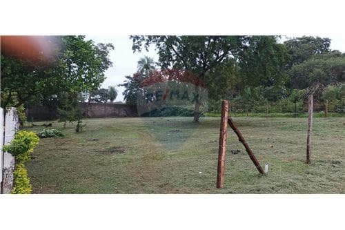 2 hermosos lotes en venta — foto 5
