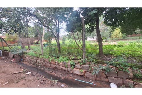 Terreno en Luque- campo grande — foto 3