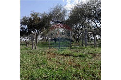 En venta terreno sobre ruta chaco i