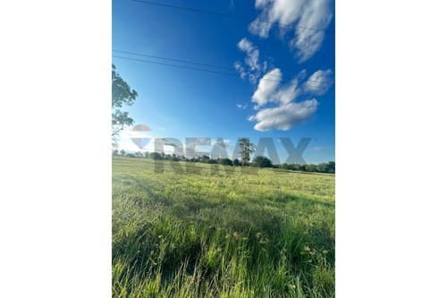 Vento 4 terre nos en Falcon ( Nueva Asuncion), foto 4