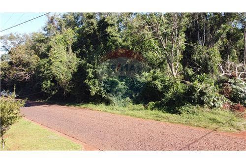 Terreno de 432 m2 en el centro de bella vista — foto 2