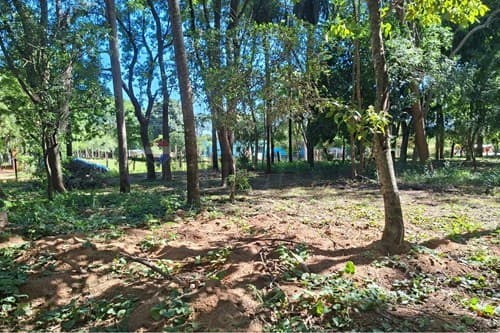 Terreno en San Bernardino, ¡Inversión Ideal!