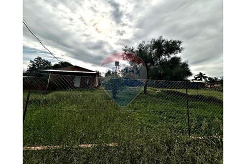 Terreno + Vivienda en Zona Comercial Filadelfia — foto 2
