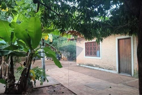 Oferta en Luque -casa en maka´i — foto 4