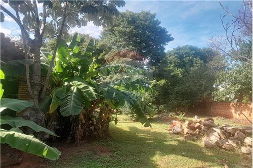 Excelente Oportunidad Vendo Lote en Ñemby — foto 2