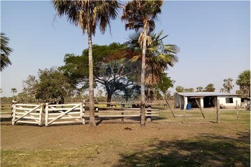 Campo. Villa Hayes — foto 2