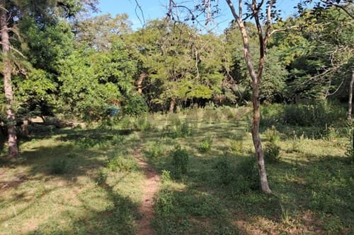 2 Has + 1.588 m² en Patiño, Itauguá — foto 3
