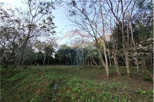 En Venta hermosa propiedad en Ypane, foto 2
