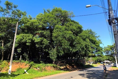 En venta terreno estrategico en caacupe — foto 2