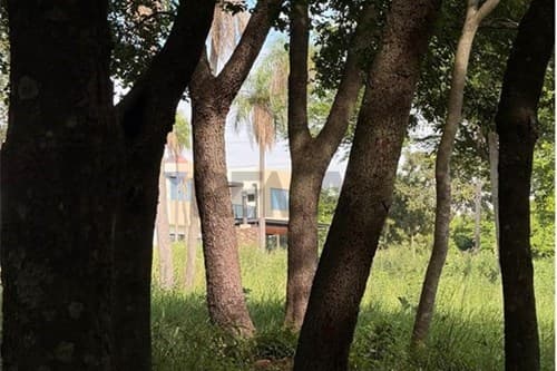 Parque alto un estilo de vida sube de nivel — foto 4