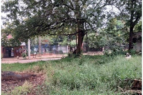 terreno en Ñemby - Mbocayaty — foto 4