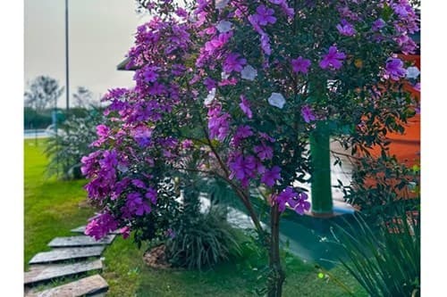 Casa Quinta, – Km 12 Acaray, Ciudad del Este, foto 4