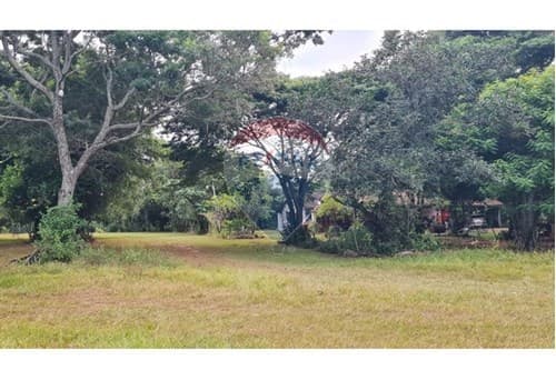 35 Has listas para producir en San Ignacio — foto 5