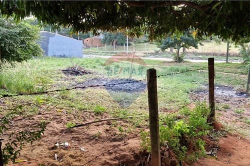 Terreno en venta en Villa Elisa — foto 5