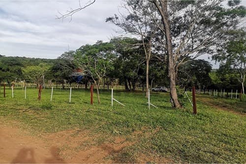 Vendo terreno en Nueva Colombia Bo. San Cayetano