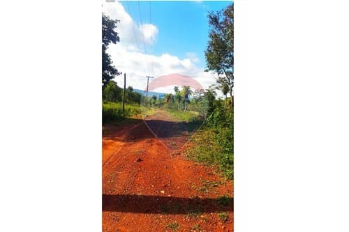 Terreno en paraguari — foto 5
