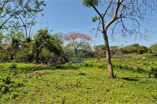 Amplio terreno 3.492 m² en Luque