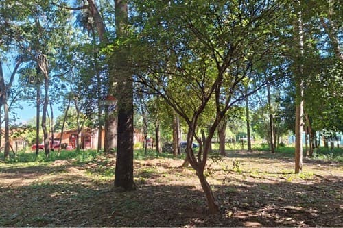 Terreno en San Bernardino, ¡Inversión Ideal! — foto 4