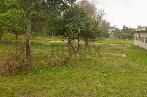 amplio terreno en Ypané, foto 2