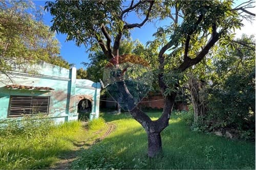 Paraguay - Central - Luque - Campo Grande