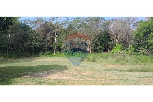 Campo en atención inversionistas, aregua