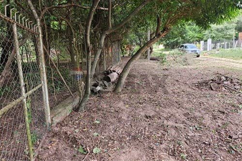 Terreno en San Bernardino fraccion los cocos — foto 3