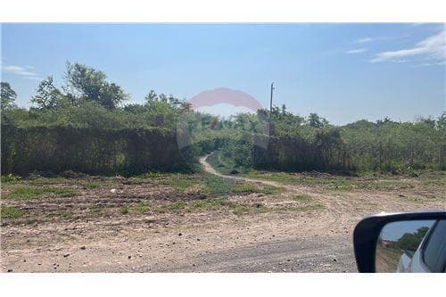Importante terreno en chaco'i ubicado sobre ruta — foto 1