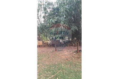 Vendo terreno en capiata,candelaria