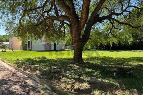 Terreno en Ypacaraí: 360m² para tu hogar ideal — foto 4