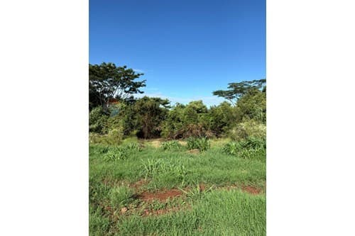 Terreno en venta — foto 2