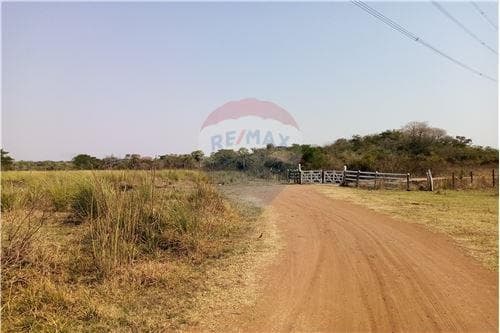 Campo. Villa Hayes — foto 3