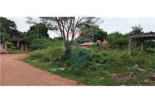 Terreno de Esquina en Villa Elisa — foto 3