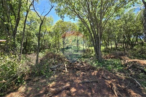 Terreno con vista al lago en San Bernardino — foto 3