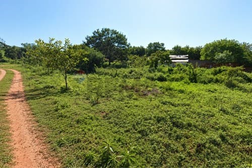 Dos terrenos en venta en doble esquina – Luque — foto 4