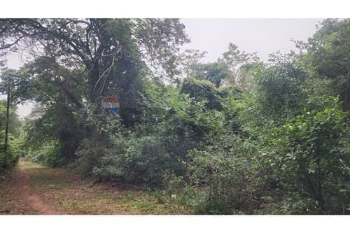 Terreno en ypacarai mbocajaty 2957 m2 — foto 2