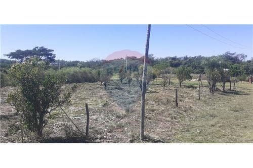 en Venta Terreno en San Juan del Parana — foto 3