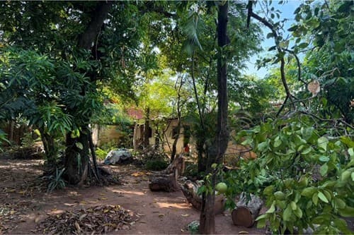 Terreno en Luque, foto 4