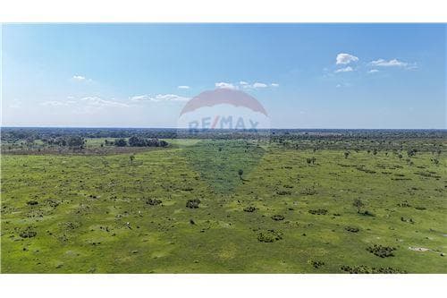 Estancia 1040 hectareas en arroyos y esteros — foto 3