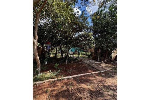 Terreno en Venta km 8 Acaray con vista al lago — foto 5